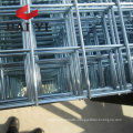 Galvanized and PVC coated Welded Wire Mesh Panel ( manufacturer )